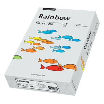 Kopieringspapper Rainbow light grey A4 160g 